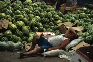 Melonenverkäufer in Baia Mare